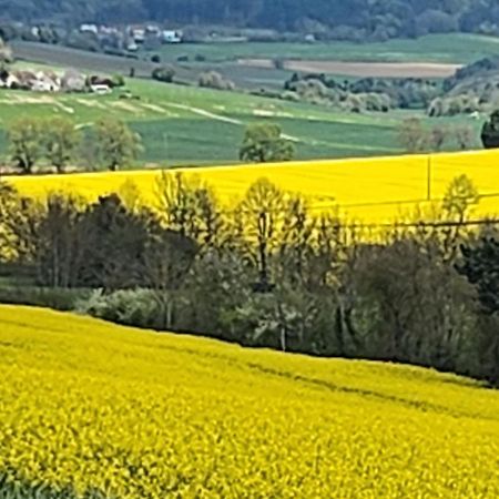 Вилла La Layotte Вон-Романе Экстерьер фото